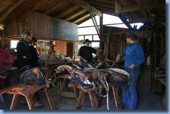 group in front of saddles on a trailriding for beginners program.